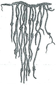 An Inca quipu is shown, a string with a number of thinner, knotted strings dangling from it.